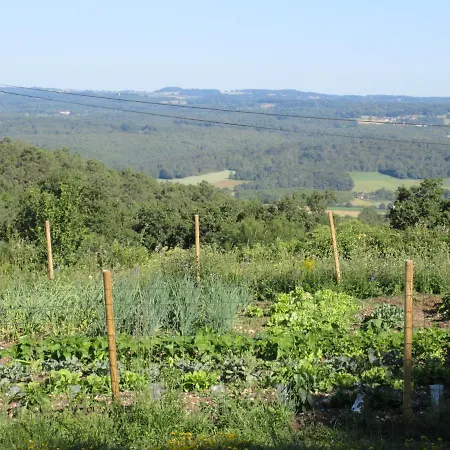 Nature Et Piscine Au Sommet Du Perigord Alojamento de Acomodação e Pequeno-almoço Tourtoirac