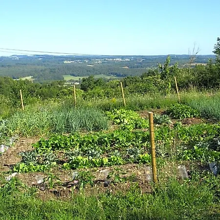 Nature Et Piscine Au Sommet Du Périgord 3* Tourtoirac