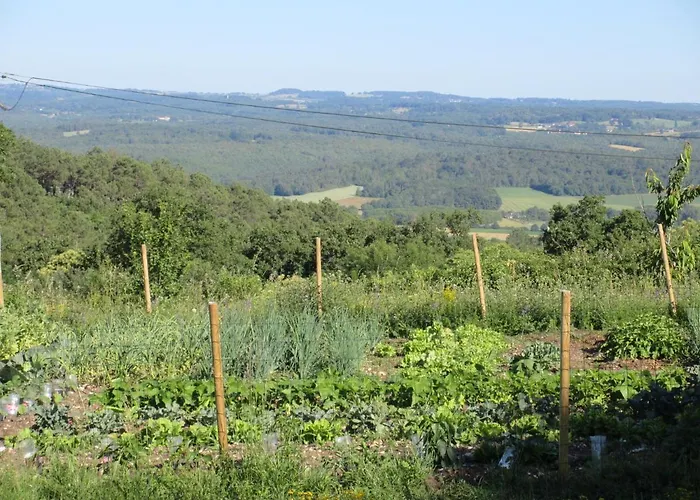 Nature Et Piscine Au Sommet Du Perigord Panzió Tourtoirac